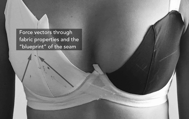 Image from Bra Theory - an empathetic and mathematical approach to bras. Pushup Bras and Academics. marchmatron.com