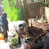 Wife & Her 2 Sons Kill And Bury Her Husband Under A Tree In Anambra State - Very Graphic Photos