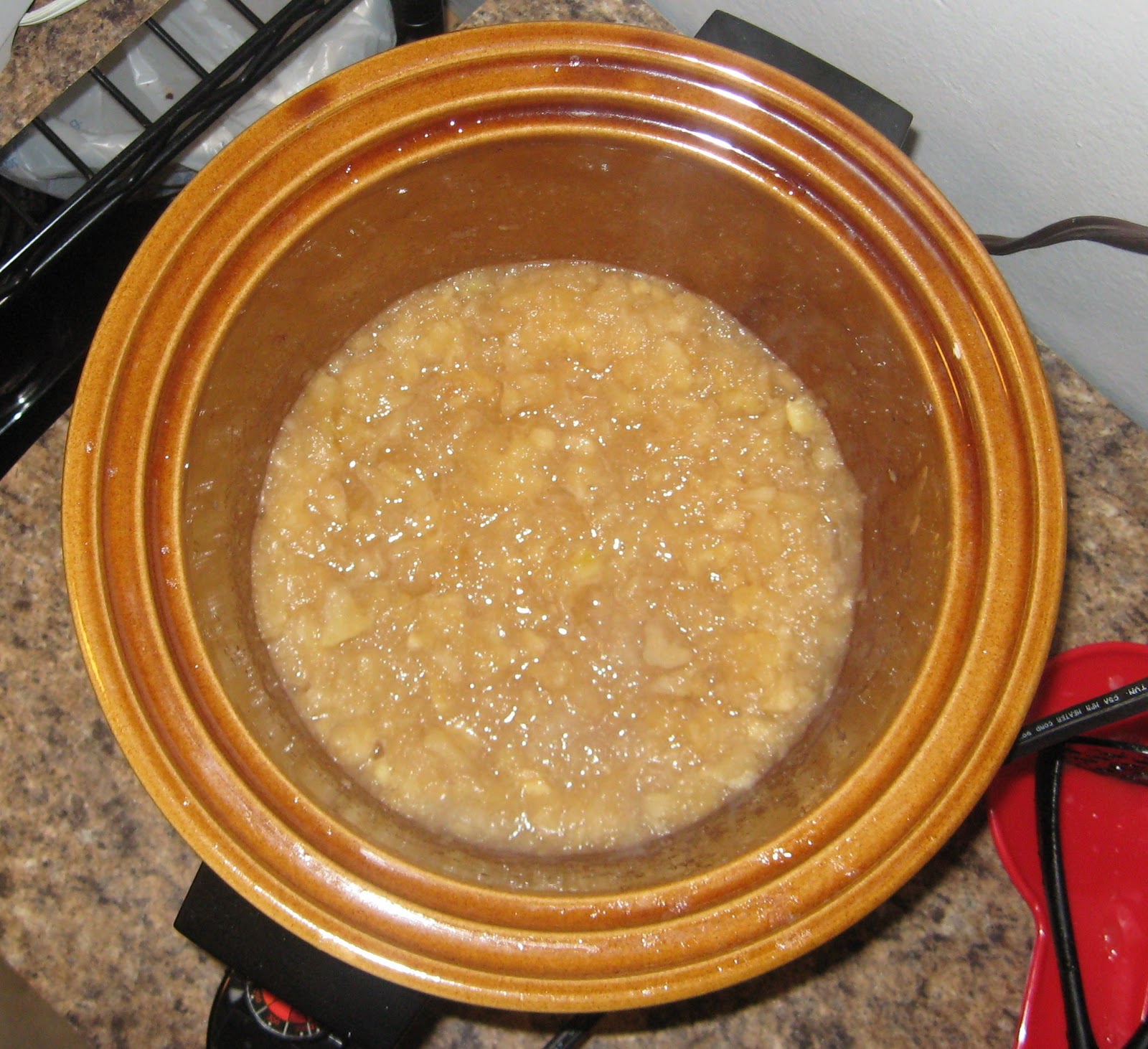 The Cooking Actress Michael's ApplesauceHoliday Recipe Exchange Week Six (Fall Spices).