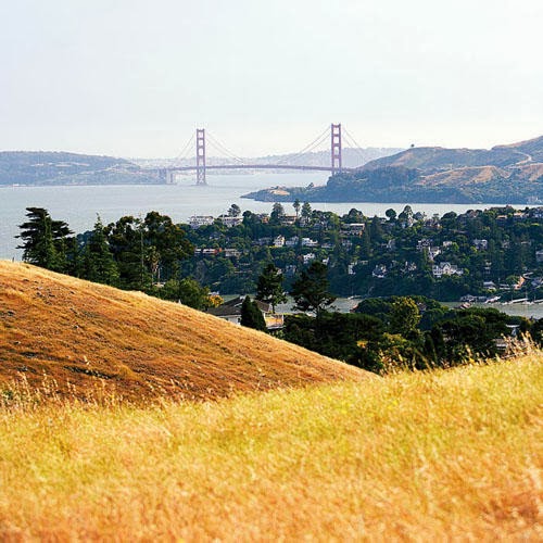 Trees and Land Use News Trees and Views in Tiburon California