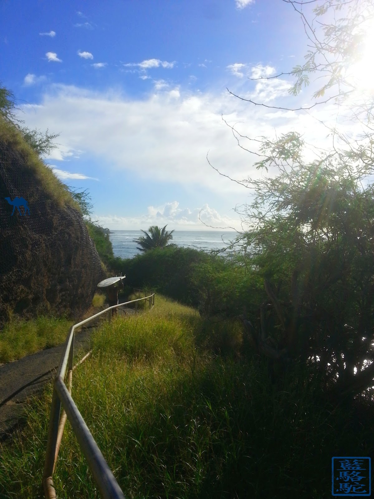 Le Chameau Bleu -Blog Voyage Hawaii - Photographie de Hawaii Le Chameau Bleu -Blog Voyage Hawaii - Photographie de Hawaii