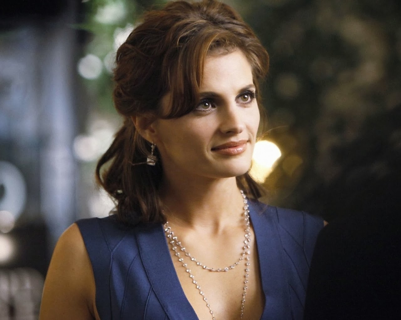 HD Wallpapers: Hollywood Actress Stana Katic Hd Wallpapers