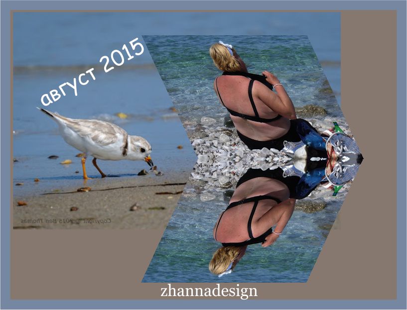 Куда деваться этим летом. Лето уходит пчела. Картинки прикольные смешные с надписями. Холодное лето юмор. Приколы о лете.