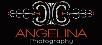 Capturing Life's Journey Angelina Photography