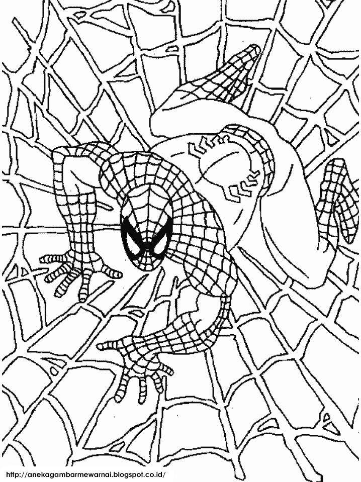 Gambar Mewarnai Spider Man Untuk Anak Paud Dan Tk Gambar Mewarnai Spider Man Untuk Anak Paud Dan Tk