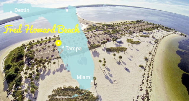 Die Schönsten Strände Florida's - Fred Howard Park, Palmenstrand