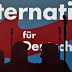 Is it far-right? Germany's AfD sparks debate
