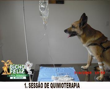 Droga para perder peso Droga para perder peso