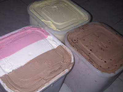 Contoh Hasil Hard Ice Cream Dalam Ember 8 Liter