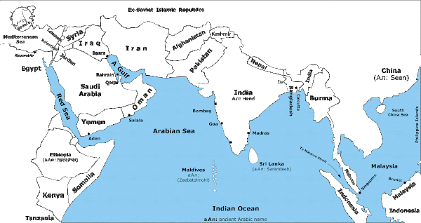 بحر العرب - حوت بحر العرب