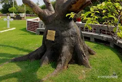 laurence benyon for the fallen ereveld ancol jakarta