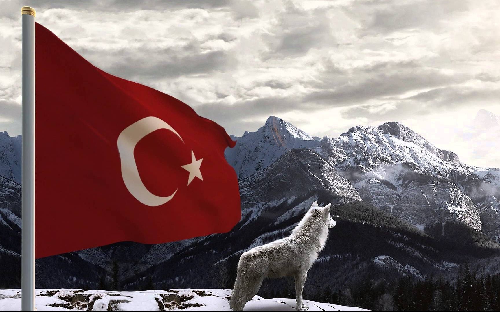 Kurt resimli turk bayraklari