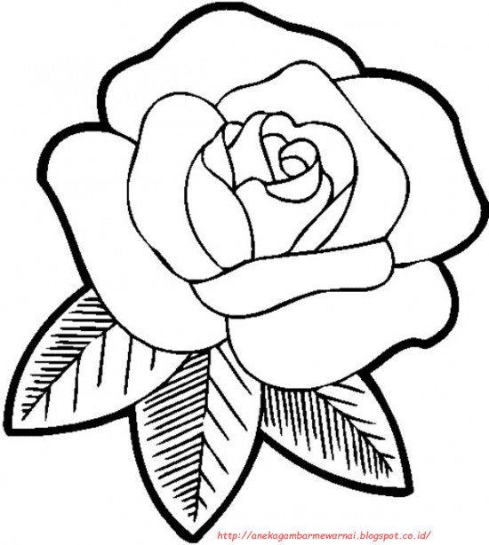 24+ Mudah Menggambar Bunga Mawar Booming
