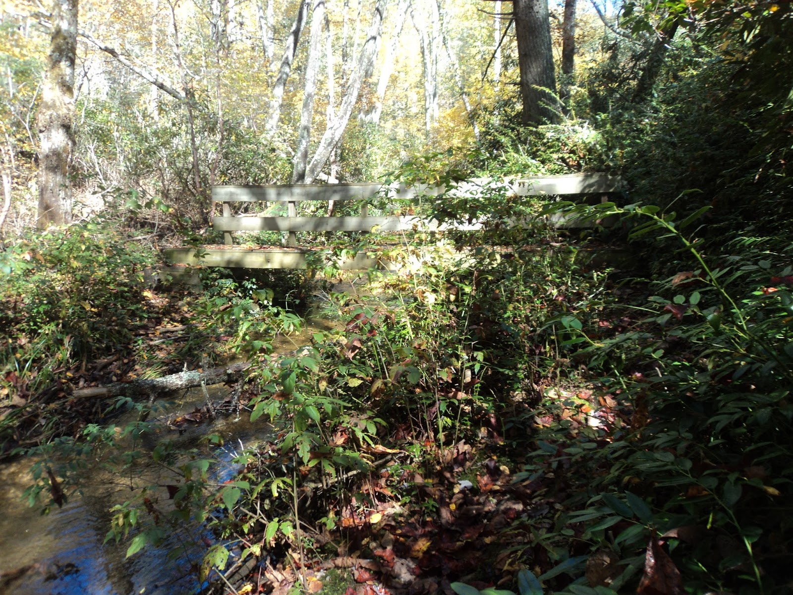 Parking Full Time Hiking Trail Journal Nantahala National Forest