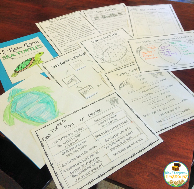 Sea turtle research topics image