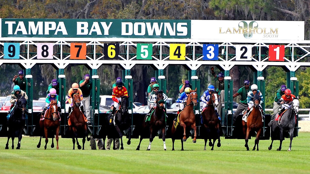 Thoroughbred Horse Racing Schedule Horse Choices
