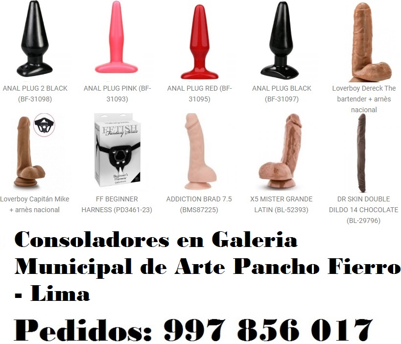 en Galeria Municipal de Arte Pancho Fierro - Lima