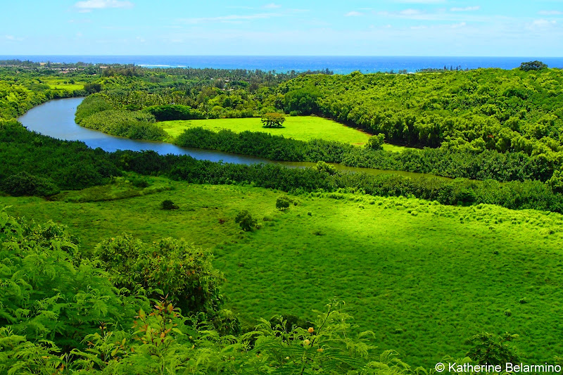 Wailua River Lookout 10 Things to Do in Kauai