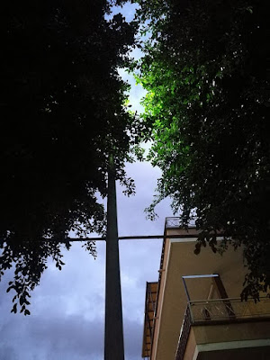 un lampione di via Altofonte oscurato dalla chioma di un albero un lampione di via Altofonte oscurato dalla chioma di un albero