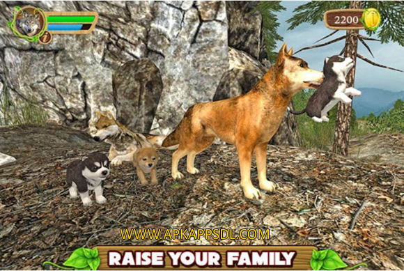 Download Furious Wolf Simulator Apk Mod v1.0 Full Version 2016 Download Furious Wolf Simulator Apk Mod v1.0 Full Version 2016