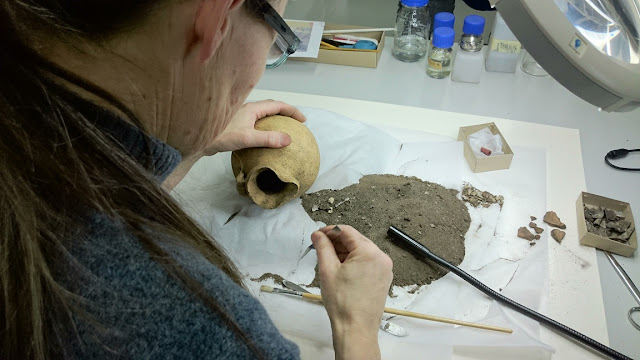 Danish Viking grave reveals archaeological mysteries Danish Viking grave reveals archaeological mysteries