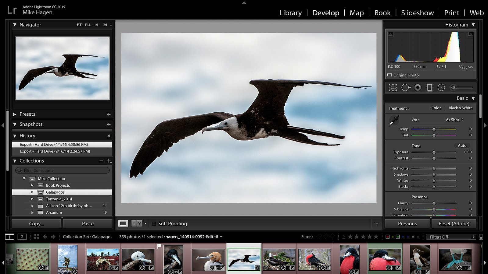 Photography Classes The Woodlands Tx Photo Choices