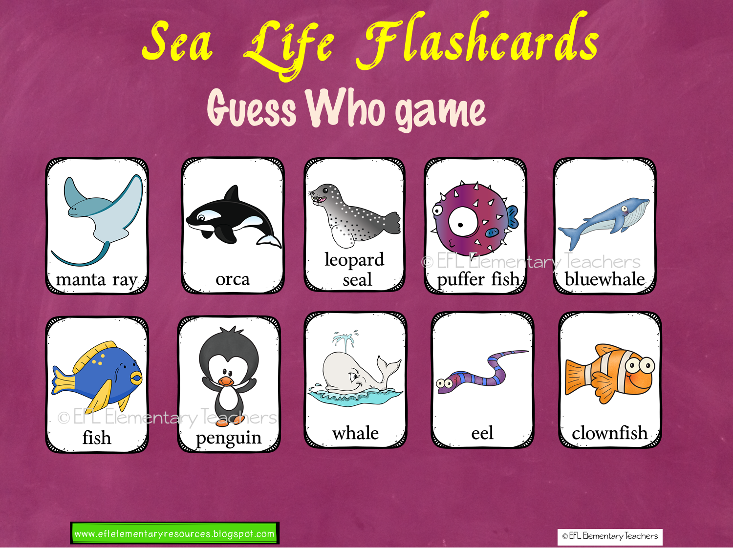 EFL Elementary Teachers Sea, ocean or Underwater Animals Unit for