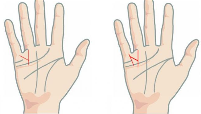 Seni Palmistri, Benarkah Tanda Garis Tangan Ini Lambang Kesuksesan dan Kekayaan Seseorang? Seni Palmistri, Benarkah Tanda Garis Tangan Ini Lambang Kesuksesan dan Kekayaan Seseorang?