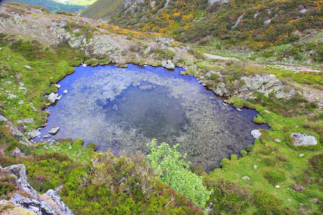 Filandón (Noroeste leonés): Orallo (II): Al paraíso desde Orallo.