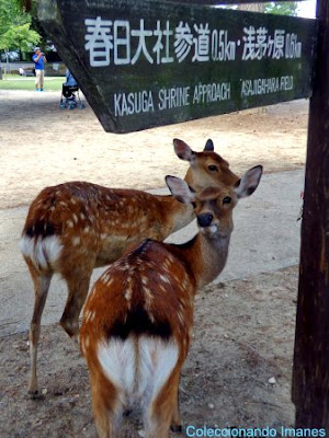 Blog "Coleccionando imanes" - Foro Sitios Web de Viajes