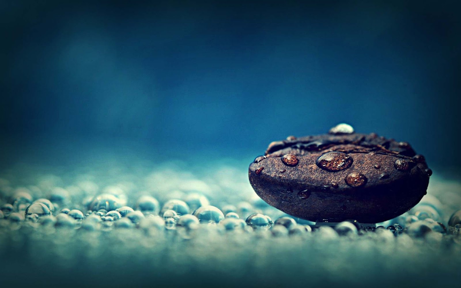 How to Make a Perfect Flat White