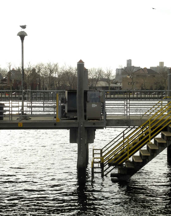 Studio and Garden At Sheepshead Bay in Brooklyn