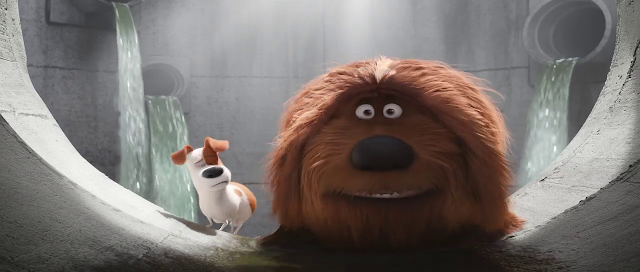 The Secret Life of Pets 2016 Full Movie 300MB 700MB BRRip BluRay DVDrip DVDScr HDRip AVI MKV MP4 3GP Free Download pc movies The Secret Life of Pets 2016 Full Movie 300MB 700MB BRRip BluRay DVDrip DVDScr HDRip AVI MKV MP4 3GP Free Download pc movies