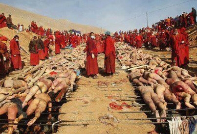 Image result for burma myanmar massacre