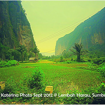 Jurasic Park di Lembah Harau