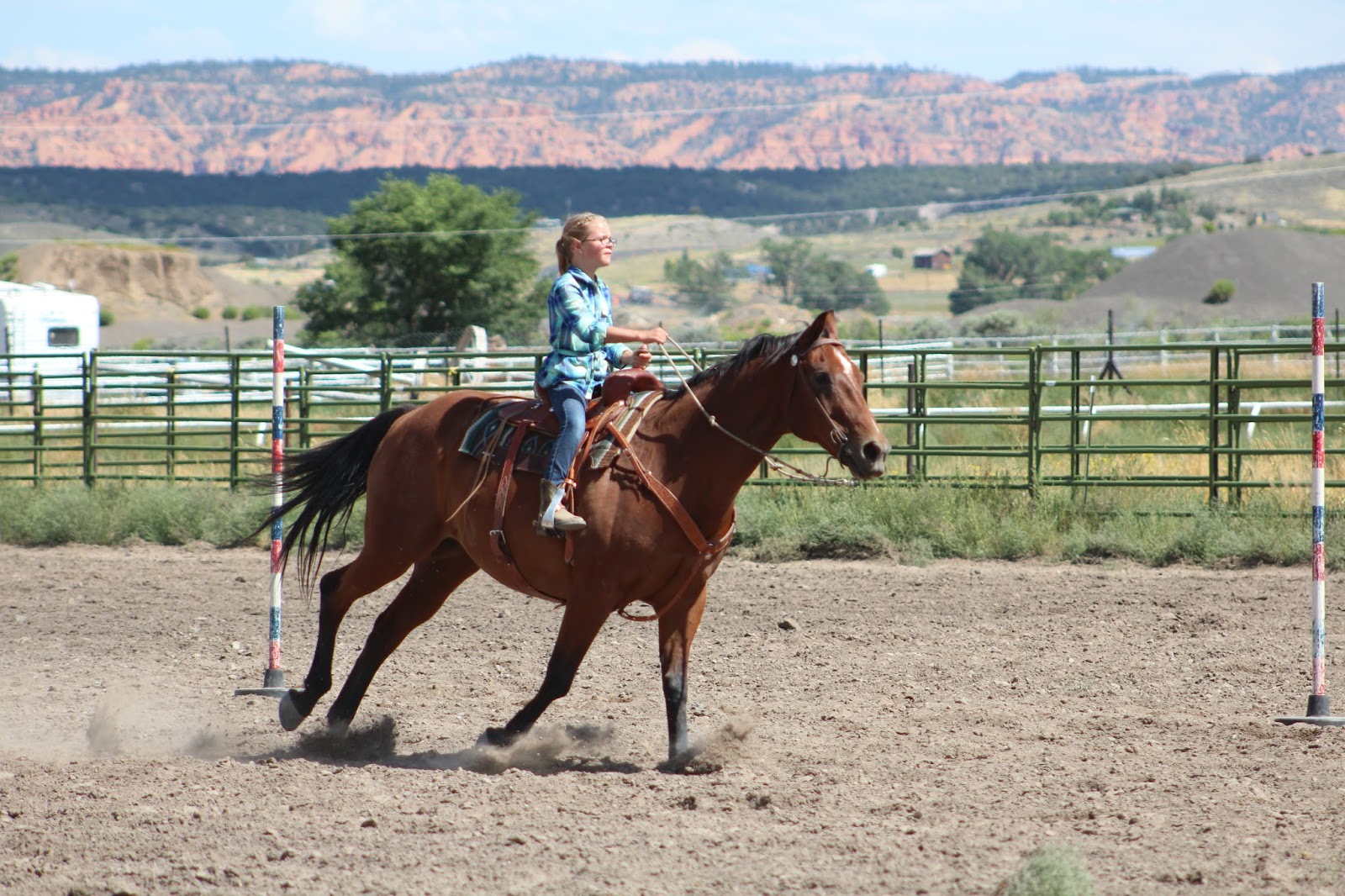 Finchtastic Horse Fun Day Garfield County Fair