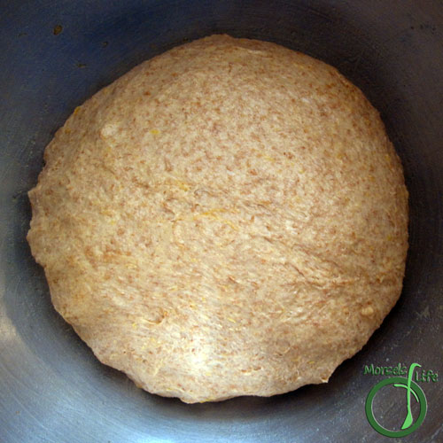 Morsels of Life - Pumpkin Yeast Bread Step 3 - Allow dough to rise until doubled.