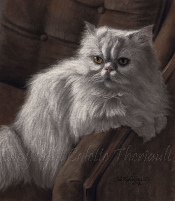 Download Pet Portraits and Wildlife Art by Canadian Nature and ...
