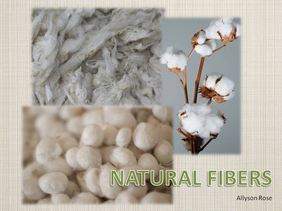Interior Design 3311 Natural Fibers