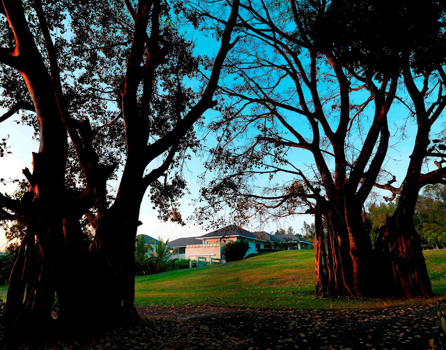Escape into the monsoon charm of The Serai Resorts while the landscape glistens Escape into the monsoon charm of The Serai Resorts while the landscape glistens