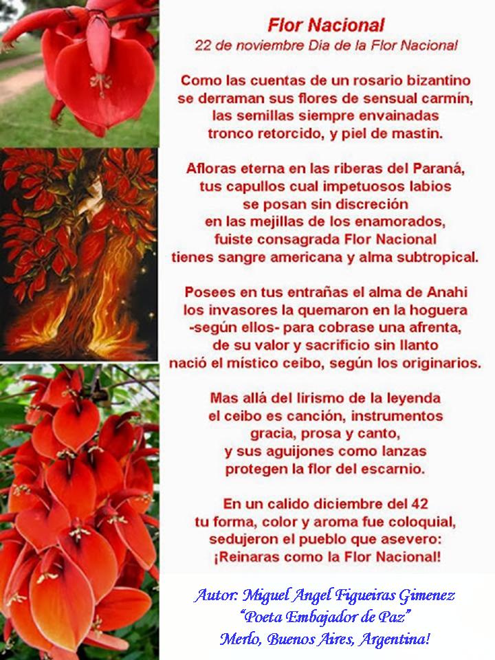 El Magazin de Merlo: Feliz DIA FLOR NACIONAL: Cada 22 de Noviembre se  conmemora el día de la flor del Ceibo. Es el Árbol y Flor Nacional de la  República Argentina.