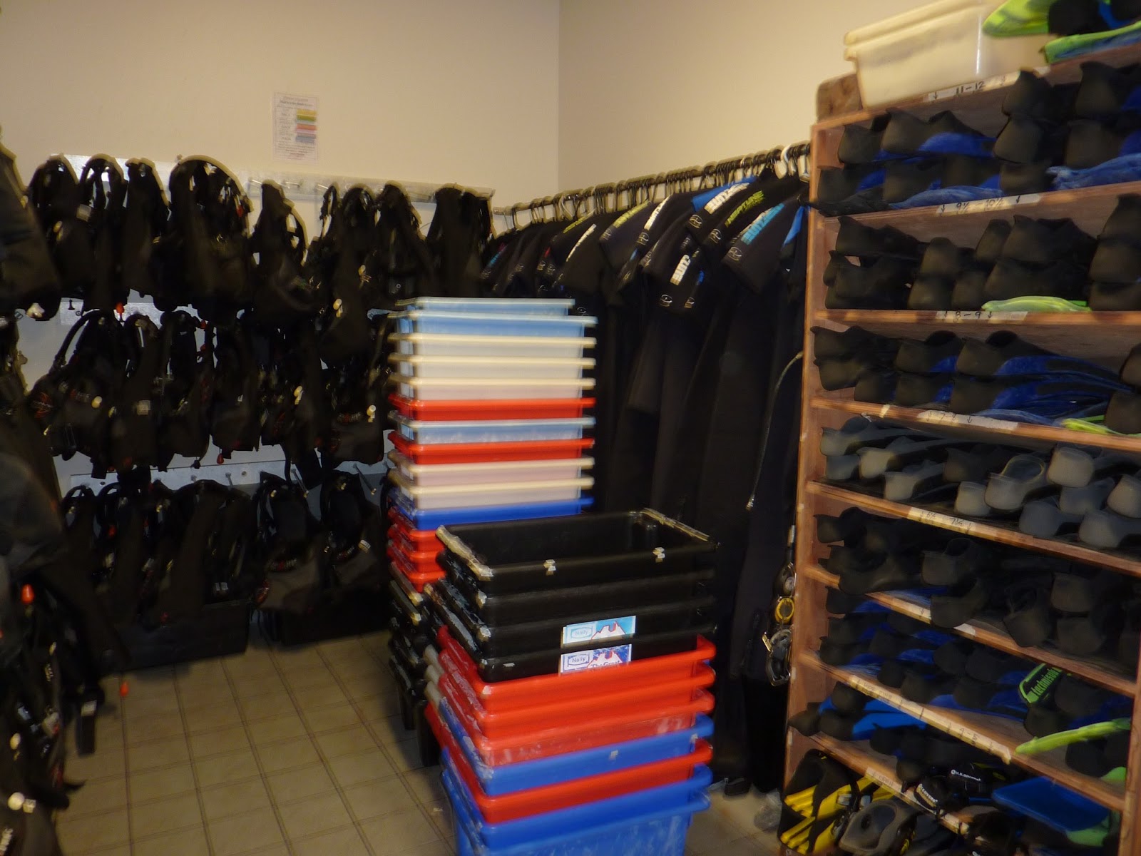 Dive Flag App Travels, Shop & Product Reviews Pro Dive Cairns