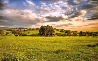 54+ Inspirasi Wallpaper Pemandangan Padang Rumput Terindah, Walpaper