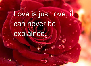 Happy-Valentines-Day-2017-WhatsApp-status Happy-Valentines-Day-2017-WhatsApp-status