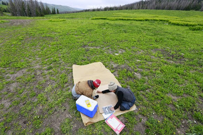 Rainbow Gathering 2014 Utah