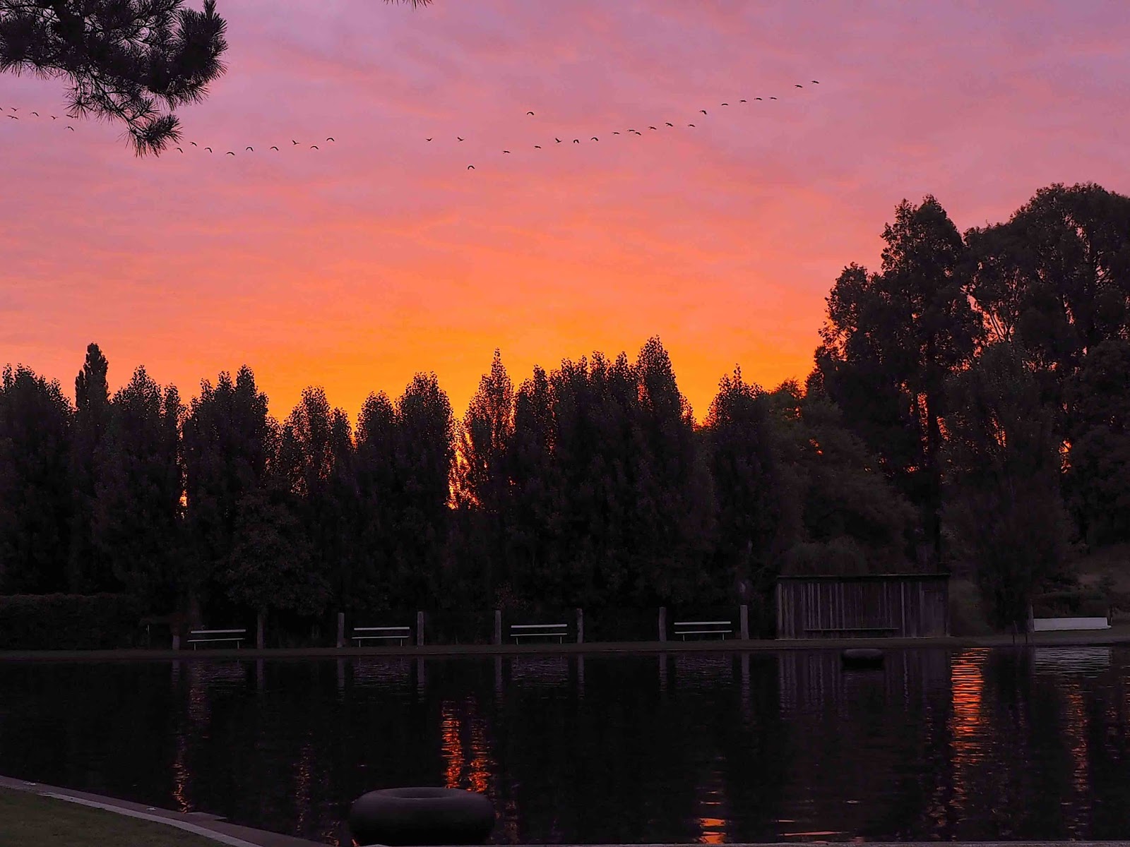 Great Places To Visit - Manjimup W.A. - Fonty's Pool & Caravan Park