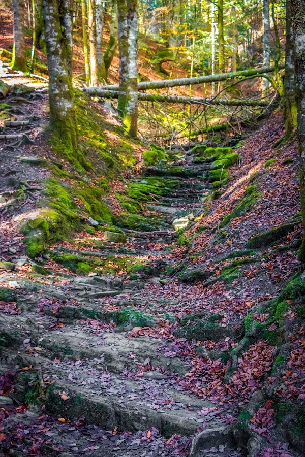 España, Navarra, Pirineo