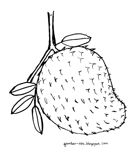 Mewarnai Buah - Gambar Mewarnai