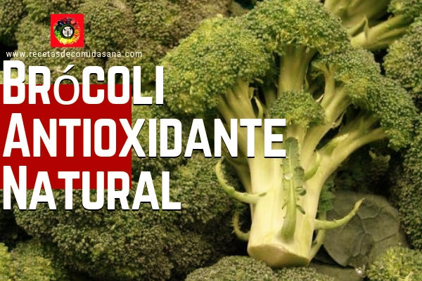 El Brocoli o el Brecol tiene Antioxidantes Naturales como Indol-3-carbinol y Sulforafano