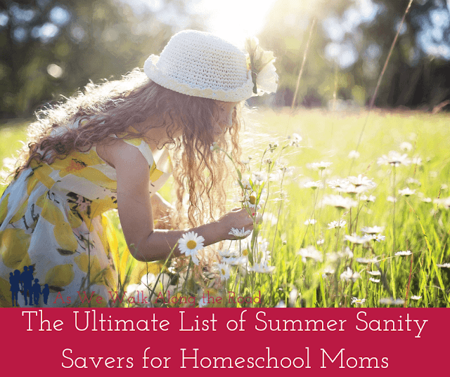 Summer fun ideas for homeschool moms Summer fun ideas for homeschool moms